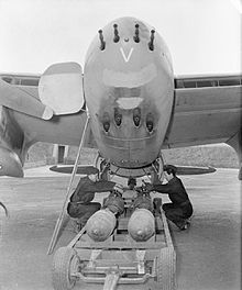 Mosquito 04